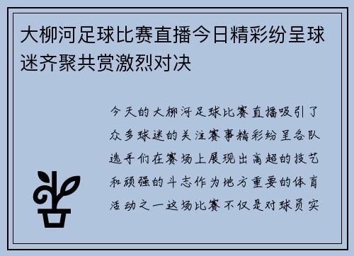 大柳河足球比赛直播今日精彩纷呈球迷齐聚共赏激烈对决